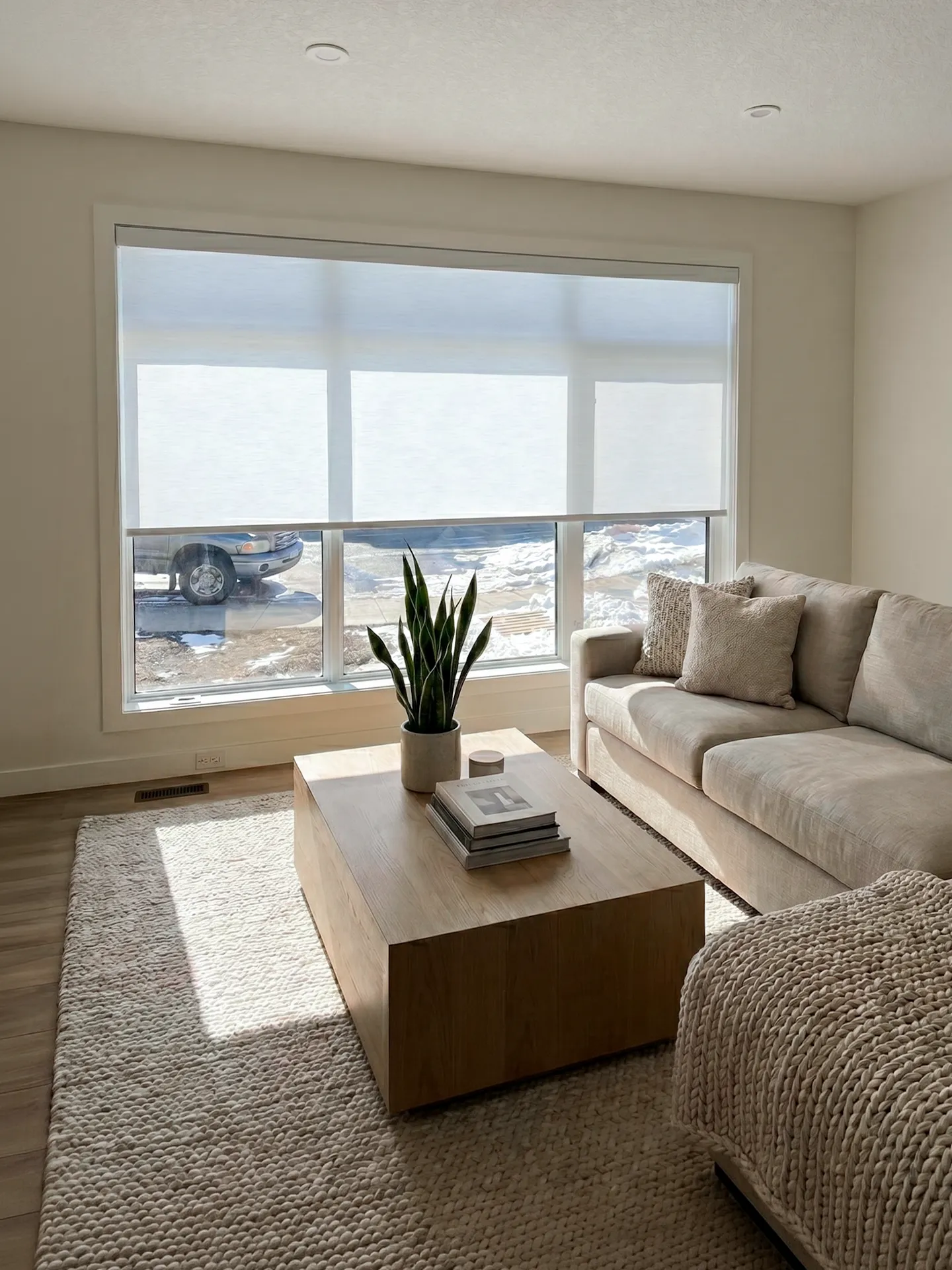 Roller Shades